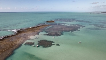 Catamar&atilde; Coletivo - Piscinas Naturais de Japaratinga